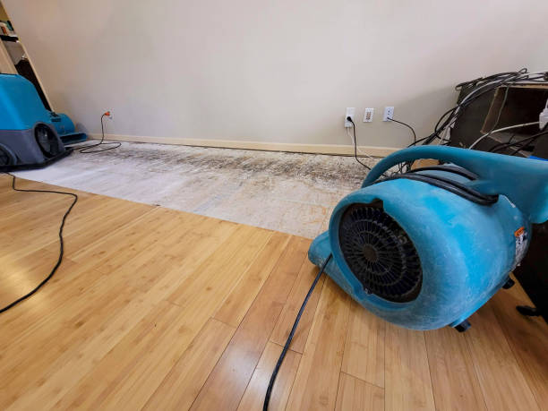 Professional Water Damage Repair technician working in Tenafly, NJ